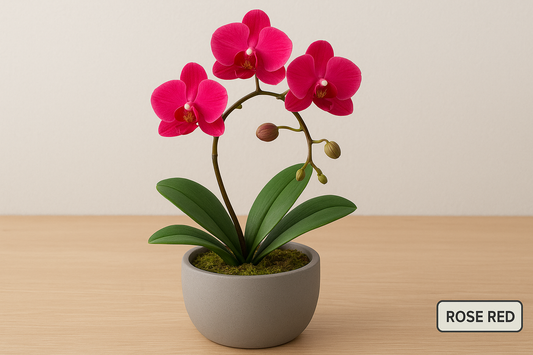 Everlasting Elegance: Decorative Phalaenopsis Bonsai Potted Plant for Stylish Indoor Décor