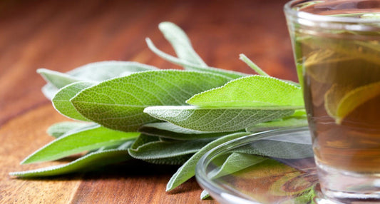 Make sage tea yourself - easy and healthy