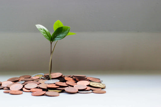 Top 7 Reasons Why It is Important to Have Savings Account