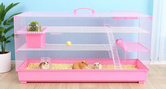 A Hamster’s Dream Home: Exploring the Panoramic Transparent Multi-Functional Cage in Pink