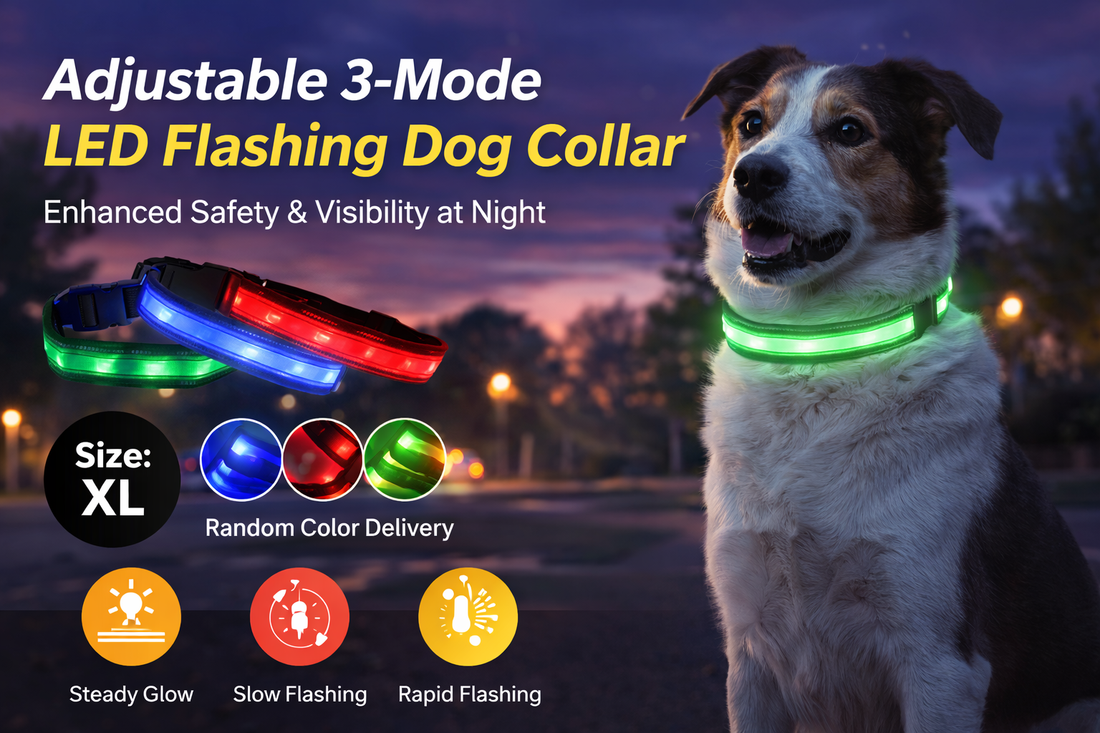 Brighten Your Dog’s Walk: The Power of LED Flashing Collars