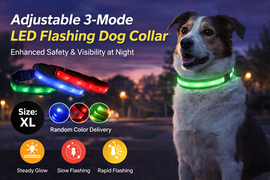 Brighten Your Dog’s Walk: The Power of LED Flashing Collars