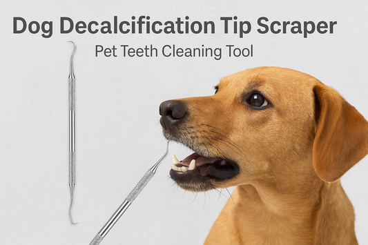 Ultimate Pet Care: The Dog Decalcification Tip Scraper for Healthier, Cleaner Teeth