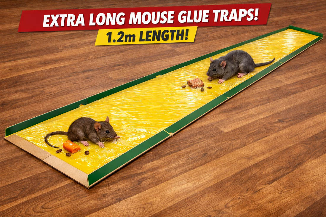 The Ultimate Long-Range High-Strength Solution for Safe Simple Chemical-Free Rodent Control at Home The 2 pcs Mouse Rodent Glue Rat Trap Board Mice Killer Length 1.2m