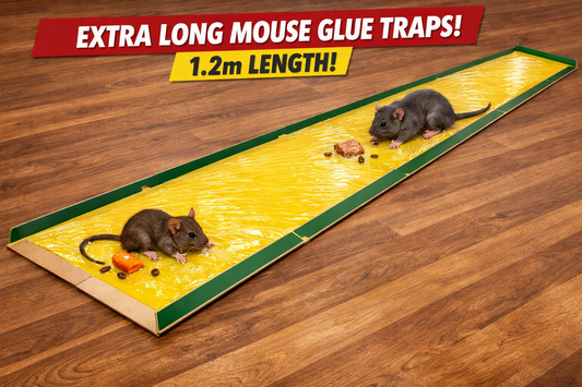 The Ultimate Long-Range High-Strength Solution for Safe Simple Chemical-Free Rodent Control at Home The 2 pcs Mouse Rodent Glue Rat Trap Board Mice Killer Length 1.2m
