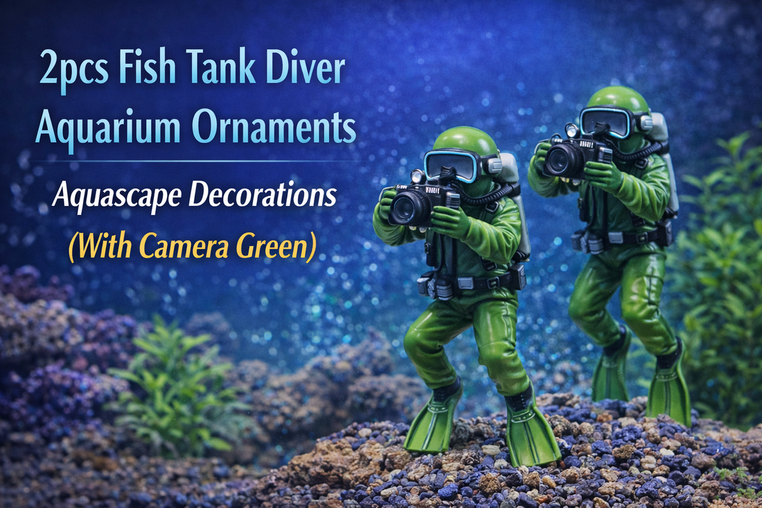 Bring Storytelling to Your Aquarium with Diver Aquascape Decorations (With Camera Green)