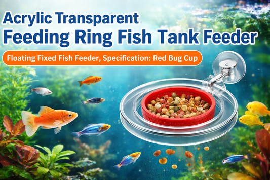 Acrylic Transparent Feeding Ring Fish Tank Feeder with Red Bug Cup – A Smart Solution for Mess-Free Fish Feeding