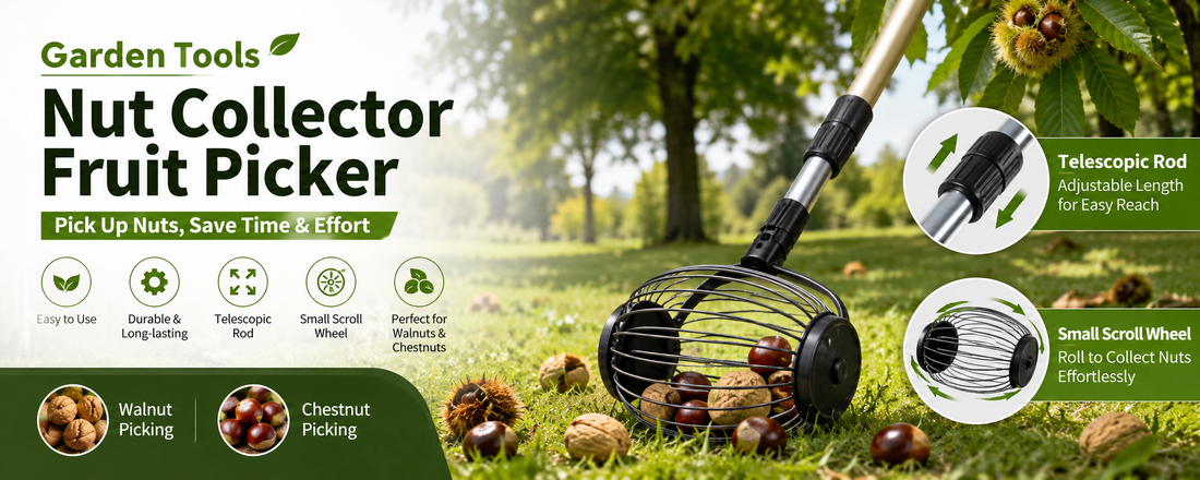 Efficient Garden Harvesting Made Pretty Easy with the Telescopic Rod and Small Scroll Wheel Nut Collector Fruit Picker Tool