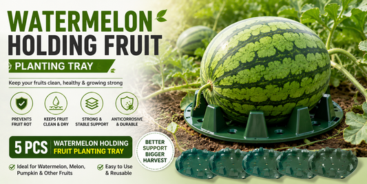 Garden Essentials: Anticorrosive Fruit Support Trays for Watermelons