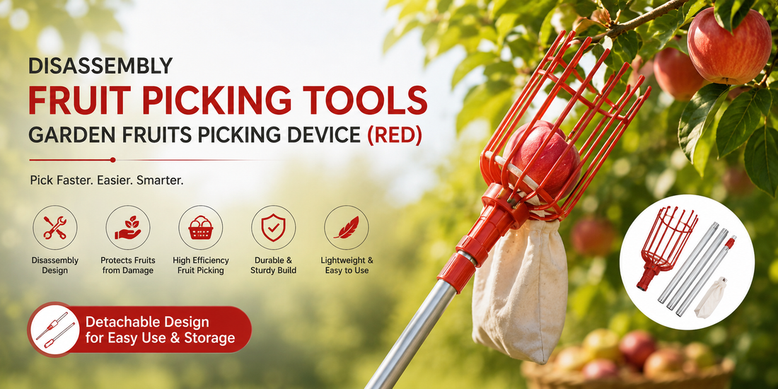 Simplify Your Fruit Harvesting with the Disassembly Fruit Picking Tools 