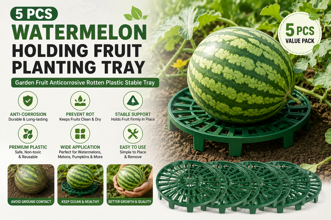 How Watermelon Planting Trays Help Grow Healthier and Cleaner Fruits