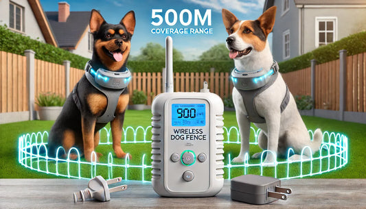 PawGuard KD-661 Wireless Dog Fence and Training Collar -500m (For Two Dogs, US plug)