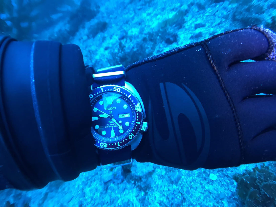 Professional watches for diving possess all the modern technologies