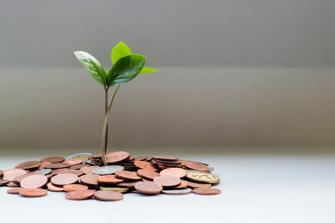 Top 7 Reasons Why It is Important to Have Savings Account
