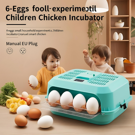 Hatch at Home: A Deep Dive into the 6-Egg Smart Chicken Incubator for Kids and Beginners