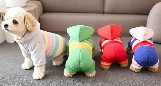 Rainbow Snuggles: The Ultimate Fleece Jumpsuit to Keep Your Pup Warm and Stylish This Winter
